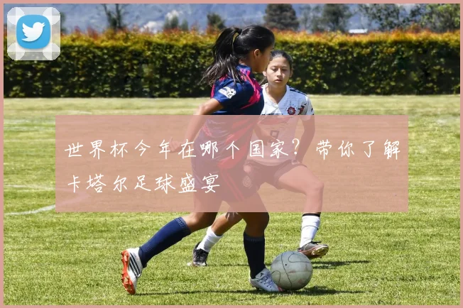 世界杯今年在哪个国家？带你了解卡塔尔足球盛宴