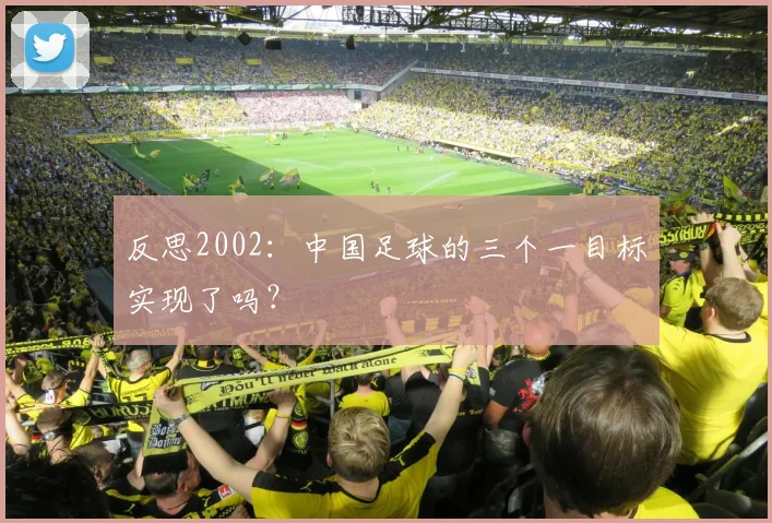 反思2002：中国足球的三个一目标实现了吗？